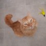Garfield (2)2